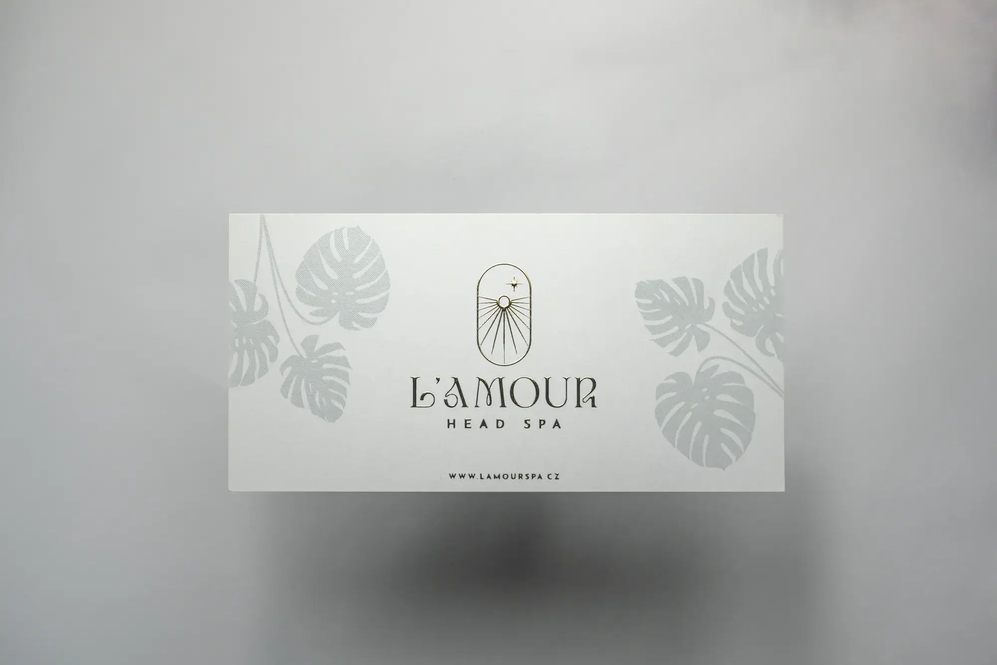 Product Visuals